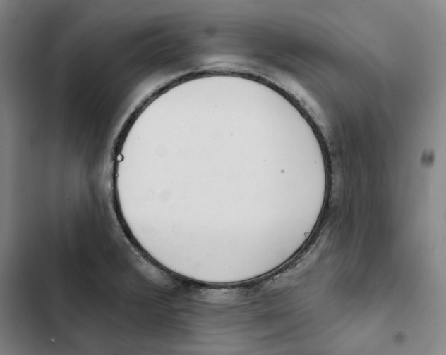 X0000102361376200808291215