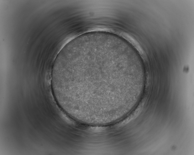 X0000102361377200808291215