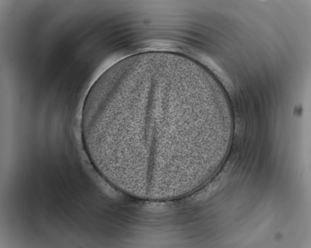 X0000102361378200808291215