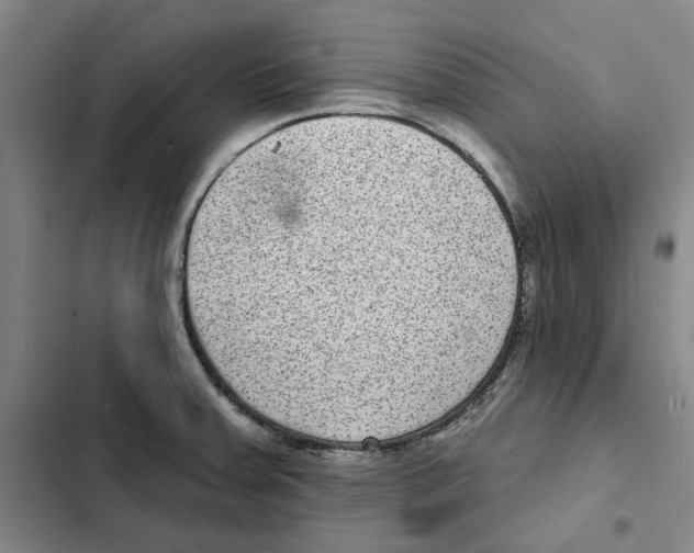 X0000102361379200808291215