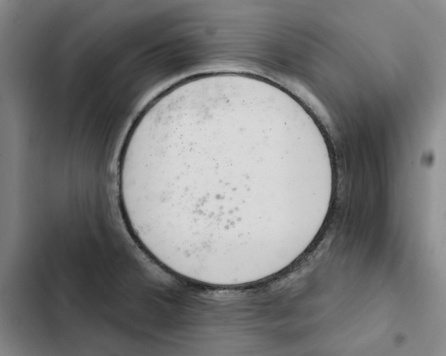 X0000102361380200808291214