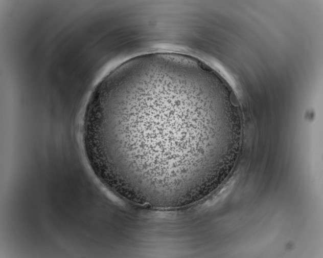 X0000102361381200808291214