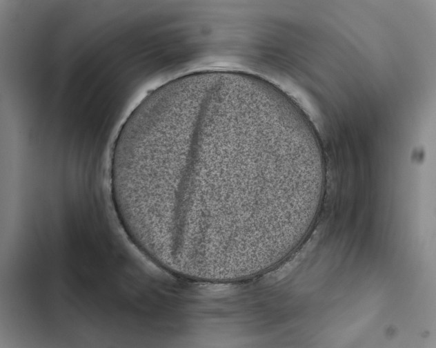 X0000102361382200808291214