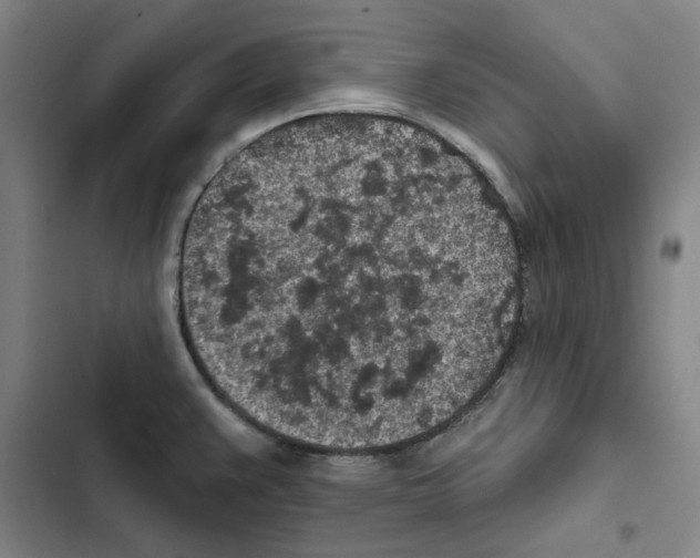 X0000102361383200808291214