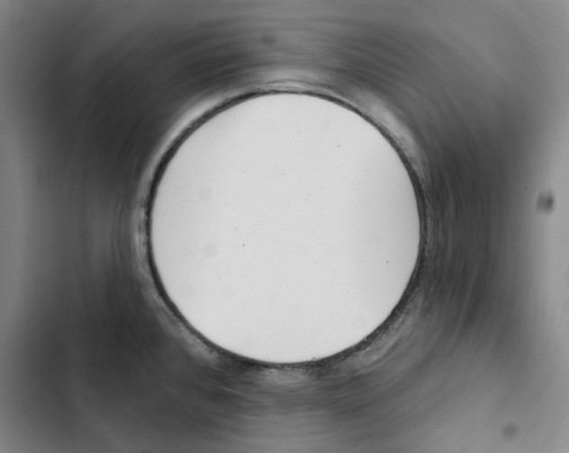 X0000102361384200808291214