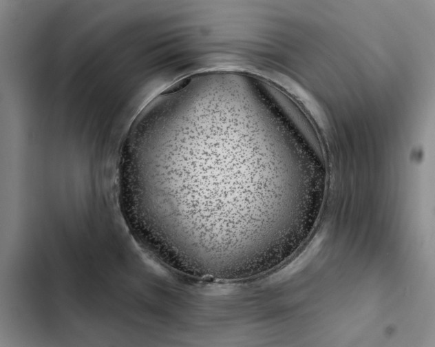 X0000102361385200808291214