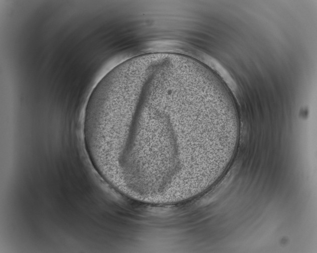 X0000102361386200808291214