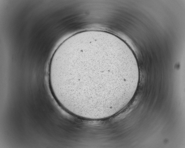 X0000102361387200808291214