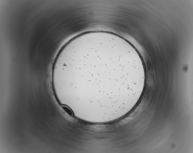 X0000102361388200808291214