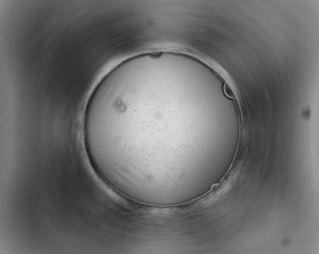 X0000102361389200808291214