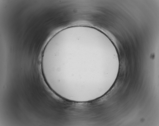 X0000102361390200808291214