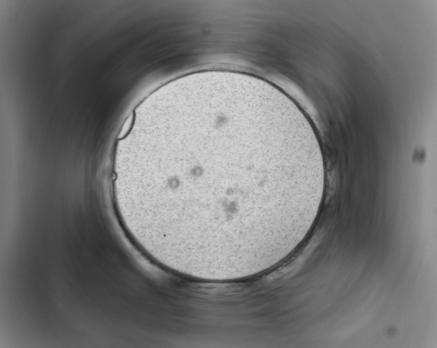 X0000102361391200808291214