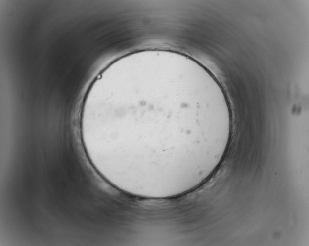 X0000102361392200808291214