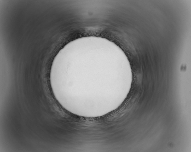 X0000102361393200808291214