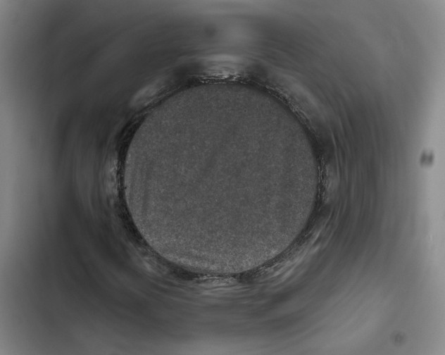 X0000102361394200808291214