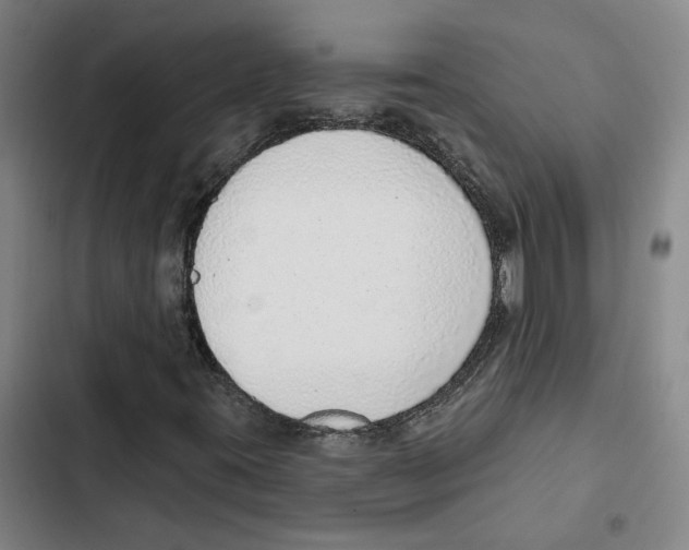 X0000102361395200808291214