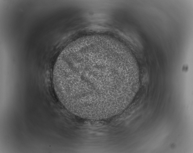 X0000102361397200808291214