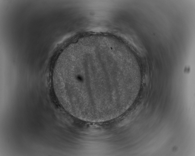 X0000102361398200808291214