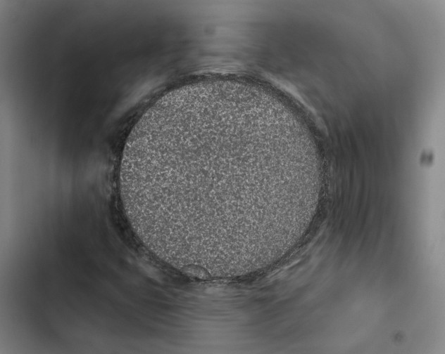 X0000102361399200808291214