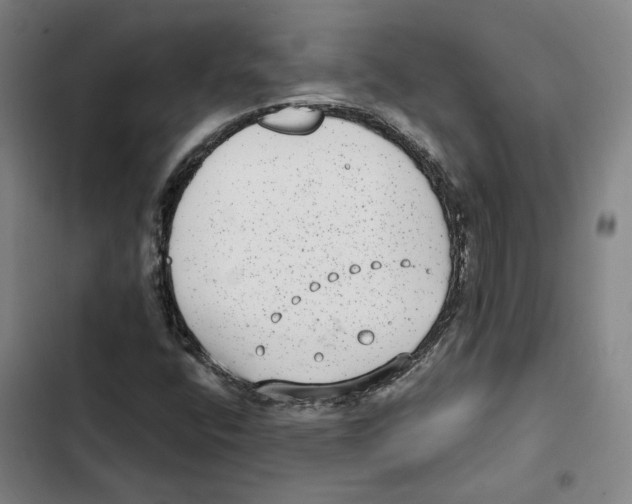 X0000102361400200808291214