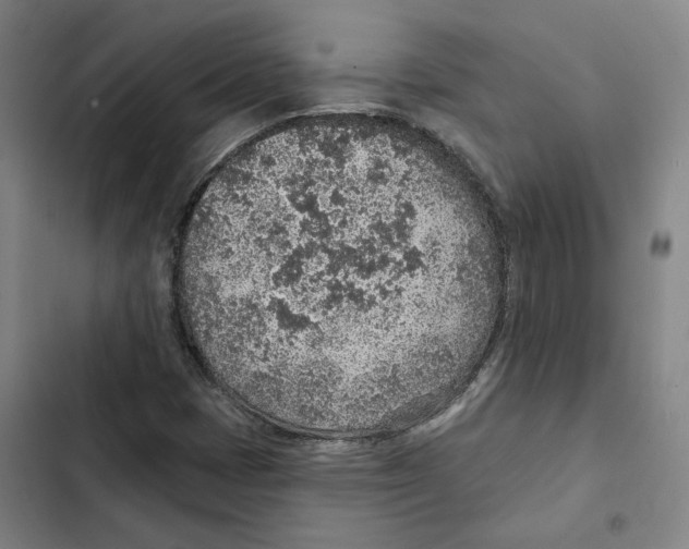 X0000102361401200808291214