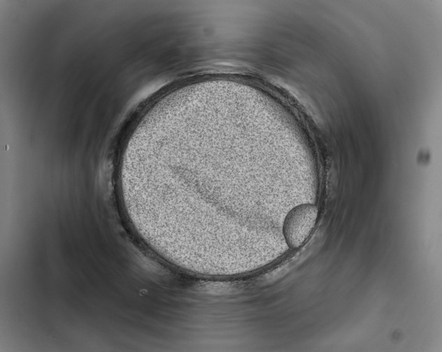 X0000102361402200808291214