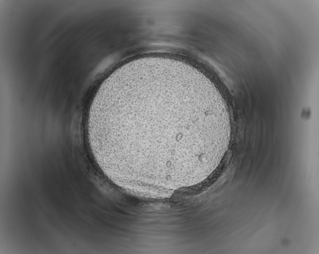 X0000102361403200808291214