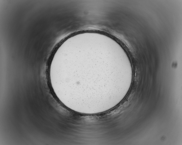 X0000102361404200808291214