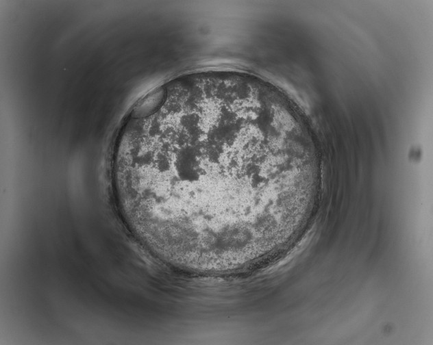 X0000102361405200808291214