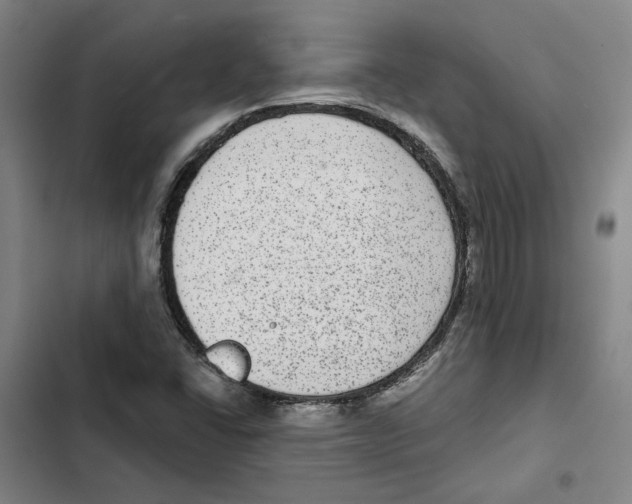 X0000102361406200808291214