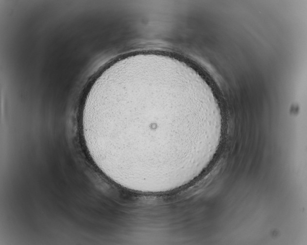 X0000102361407200808291214