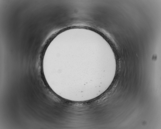 X0000102361408200808291214