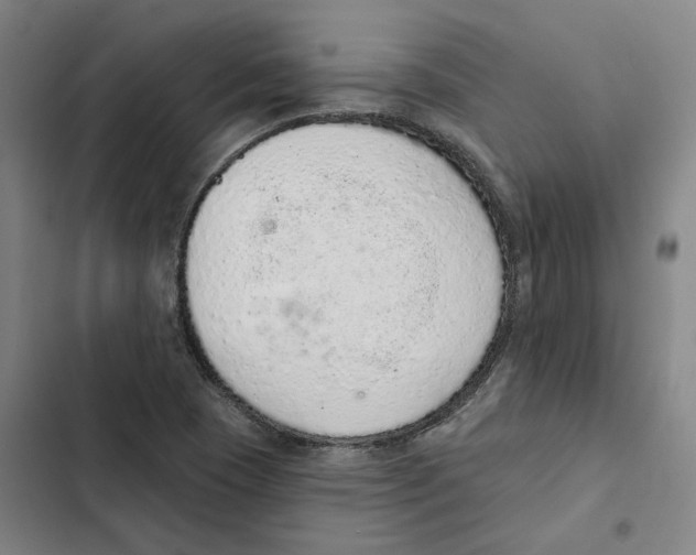 X0000102361409200808291214