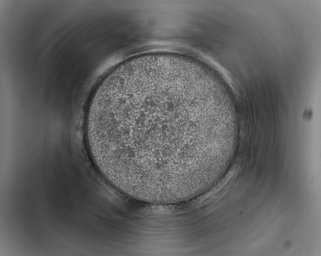 X0000102361411200808291214