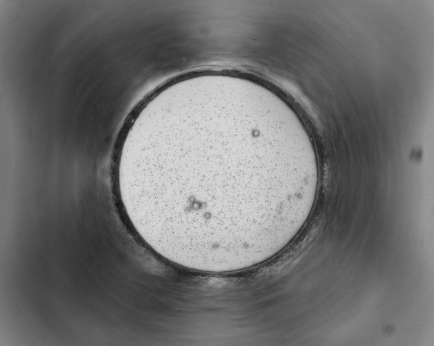 X0000102361412200808291214