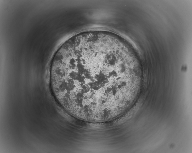 X0000102361413200808291214