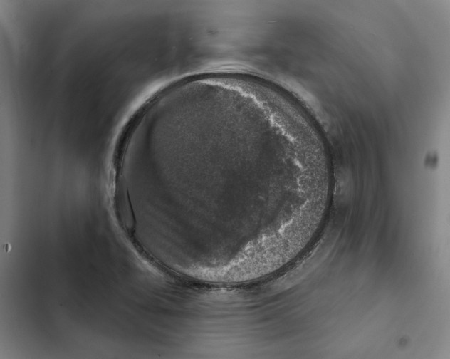 X0000102361414200808291214