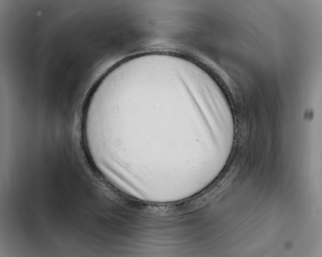 X0000102361415200808291214