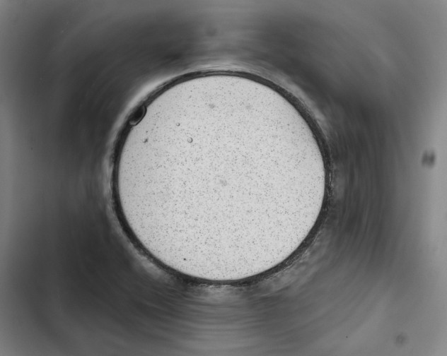 X0000102361416200808291214