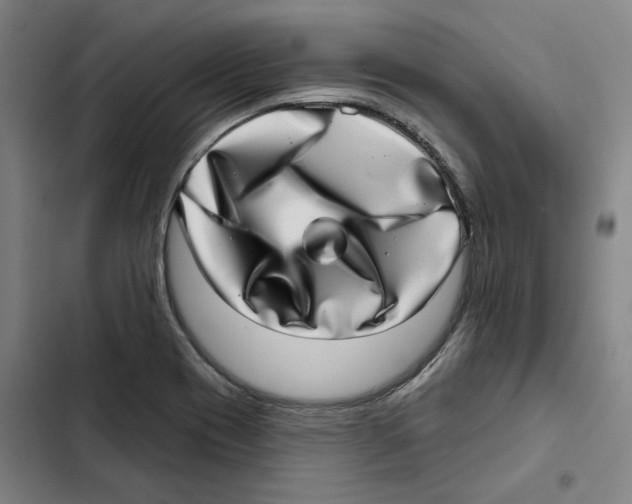 X0000102361417200808291214