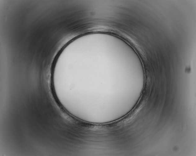 X0000102361418200808291214