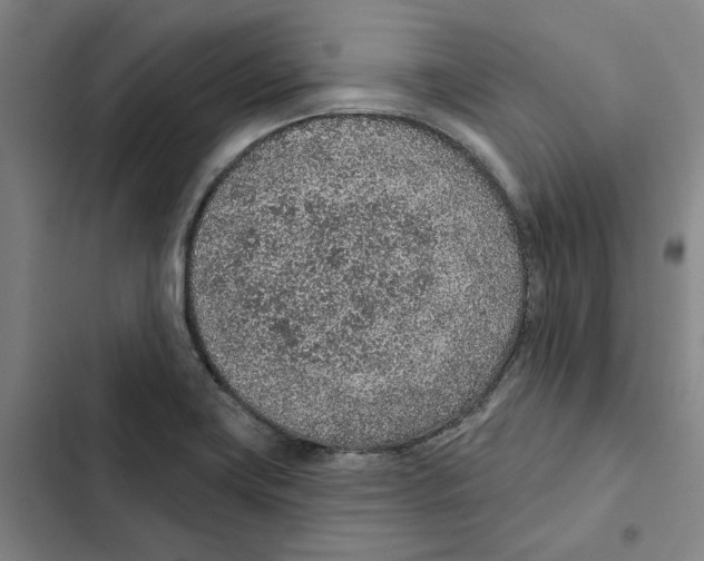 X0000102361419200808291214