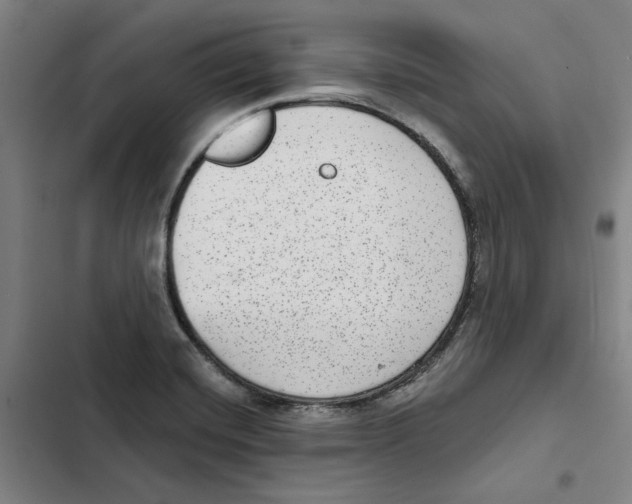 X0000102361420200808291214