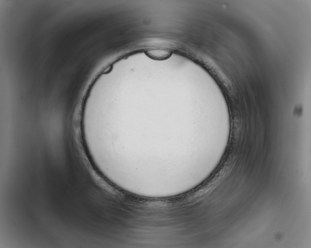 X0000102361421200808291214