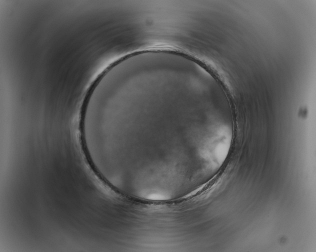 X0000102361422200808291214