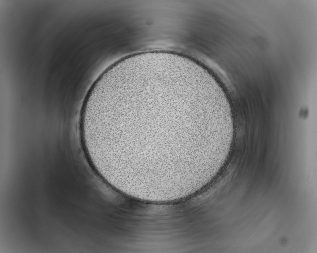 X0000102361423200808291214