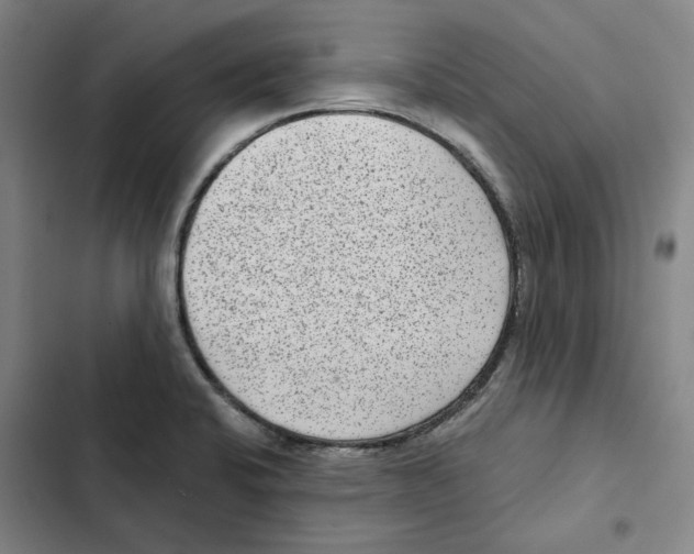 X0000102361424200808291214