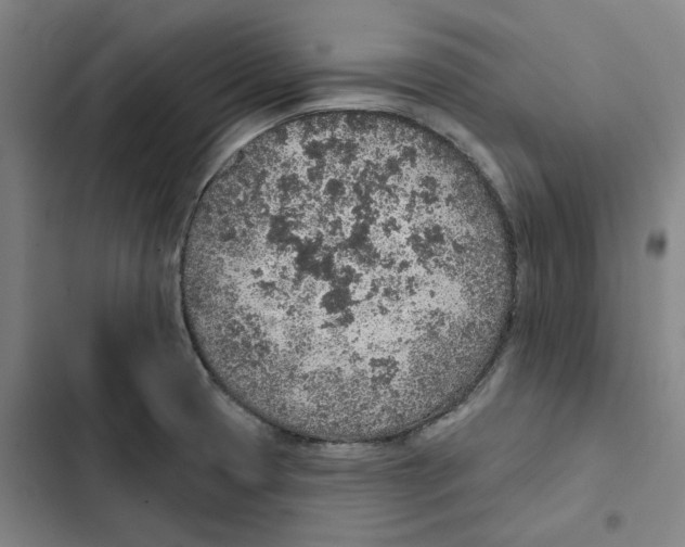 X0000102361425200808291214