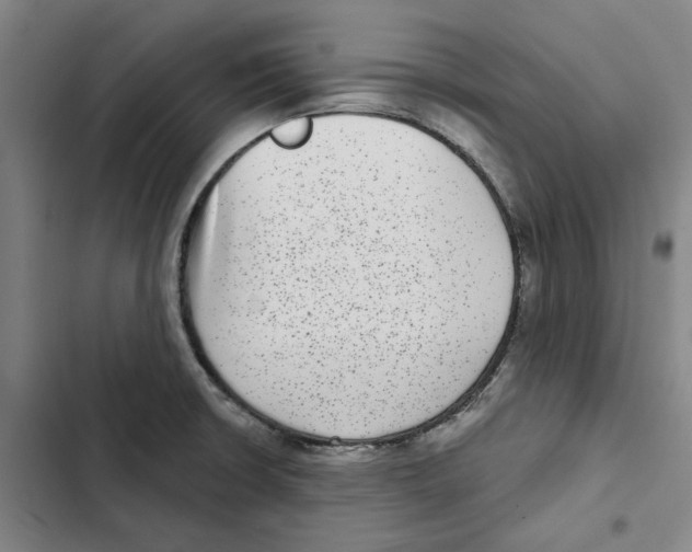 X0000102361426200808291214