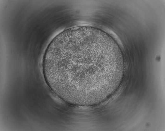 X0000102361427200808291214